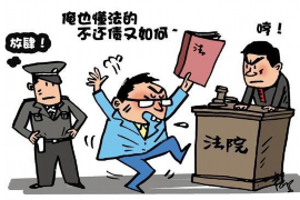 河池专业讨债公司有哪些核心服务？